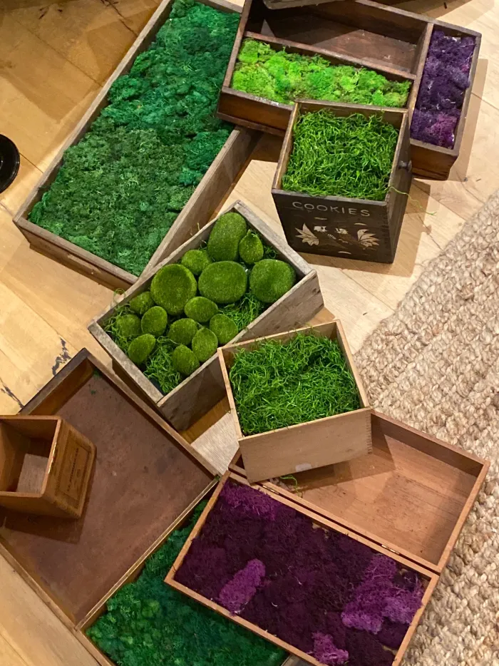 A styling flat-lay of moss-filled boxes in green and purple, part of the David Donahue Fall Showroom setup